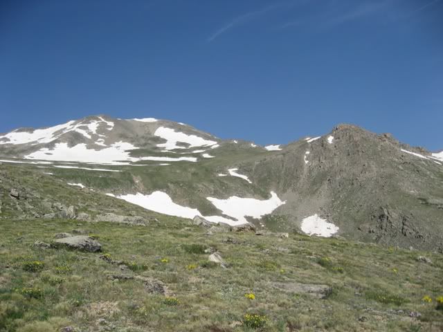Massive-Halfmoon250.jpg