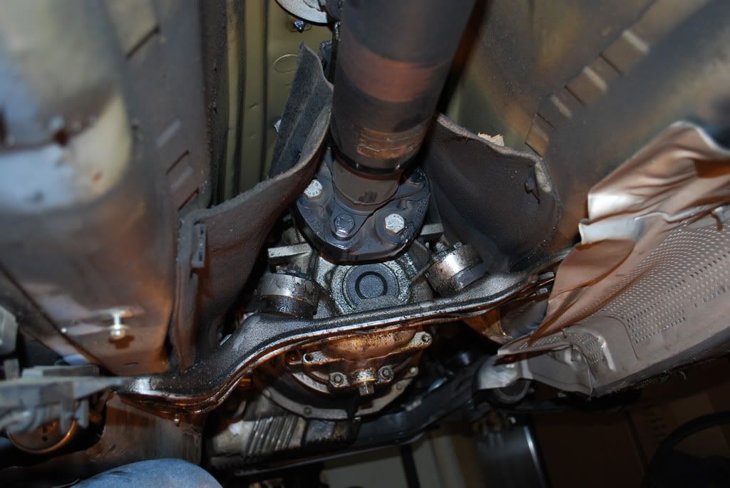 [Image: DSC_0151b.jpg]