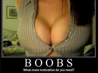 boobs Pictures, Images and Photos