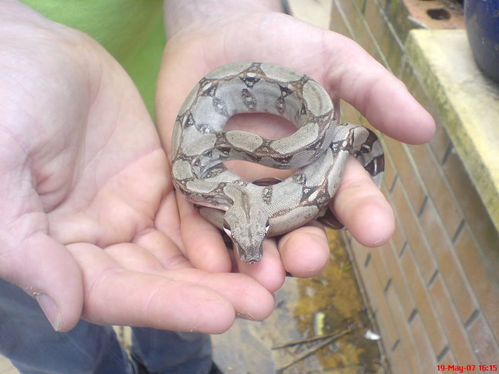 DSC00344.jpg