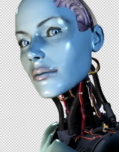 what cyborg are you essay what cyborg are you essay