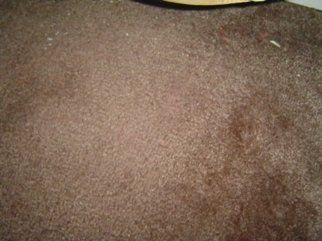 clean wax off carpet