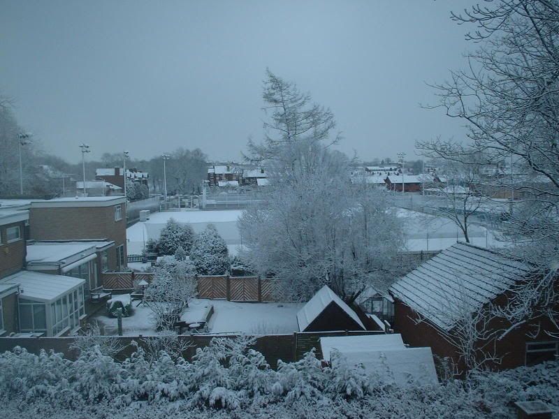 WinterView.jpg