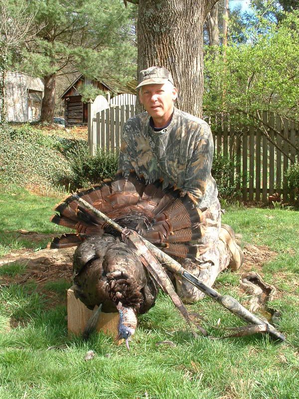 2009gobbler003.jpg