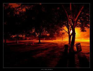 dark park photo: Sunset Park sunsetpark.jpg