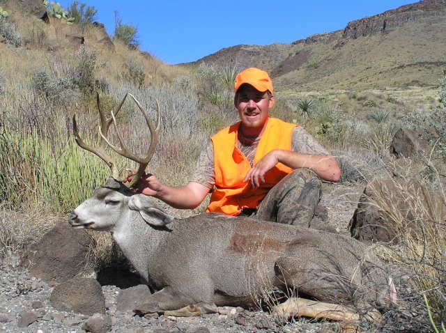 muledeer009.jpg