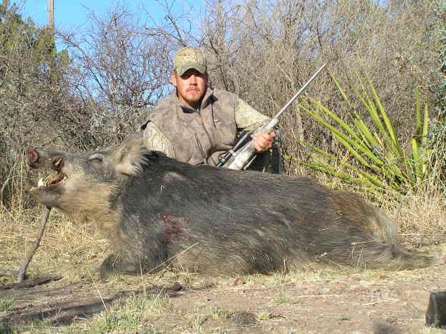 pigs022.jpg