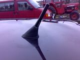 th_310320092577.jpg