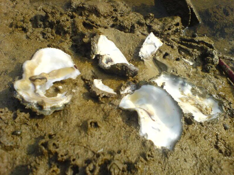 DSC00291?t1237440187