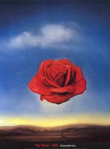 salvotore dali - mediative rose Pictures, Images and Photos