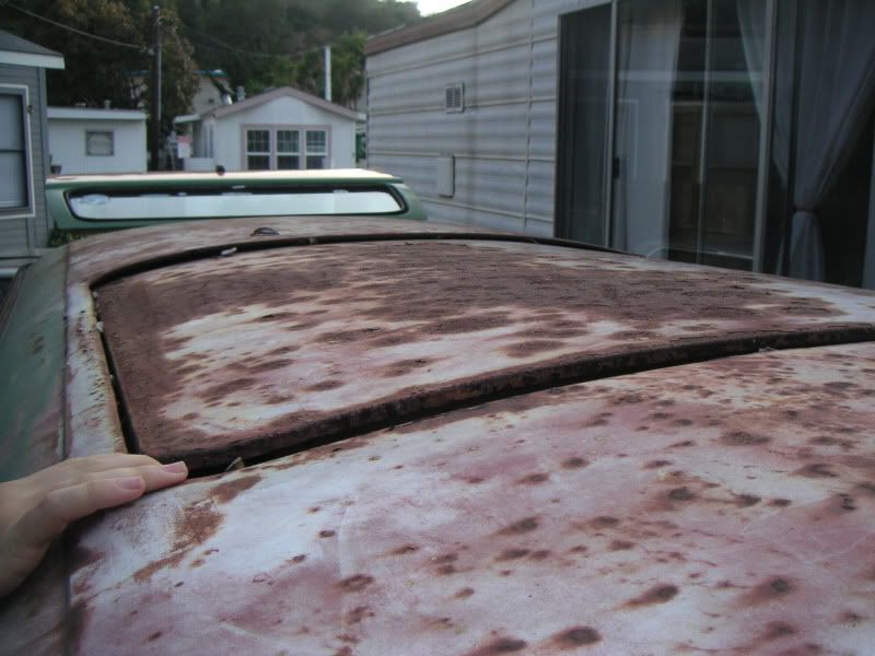 Image may have been reduced in size. Click image to view fullscreen.