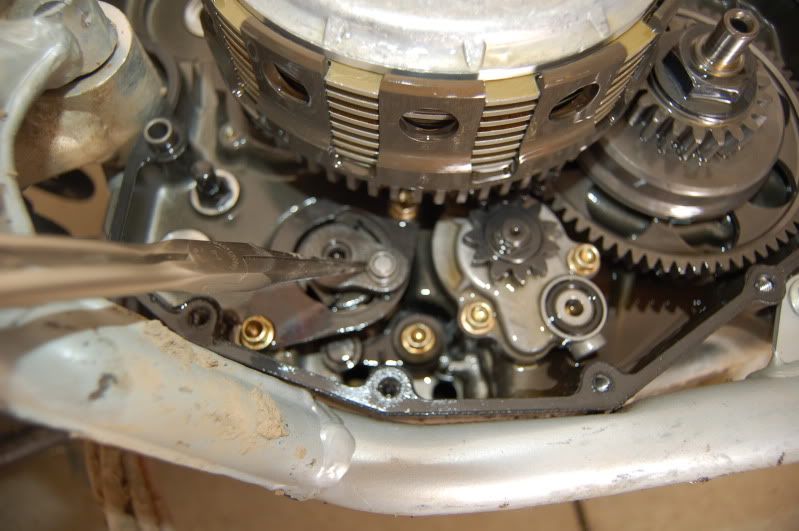 may42011060.jpg