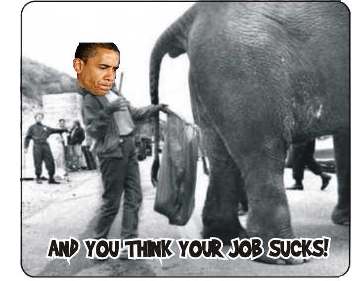 User submitted image