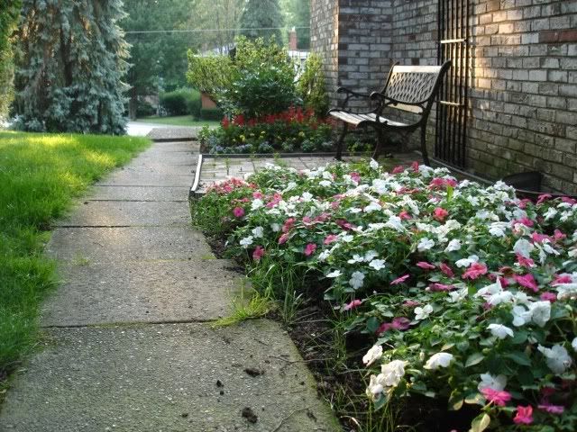 Backyard015.jpg