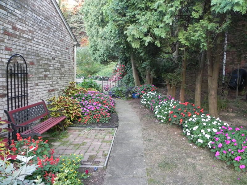 Garden6.jpg