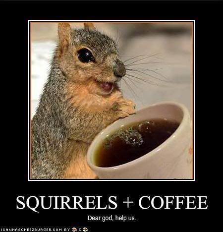 funny squirrels. funny-pictures-squirrels-have-