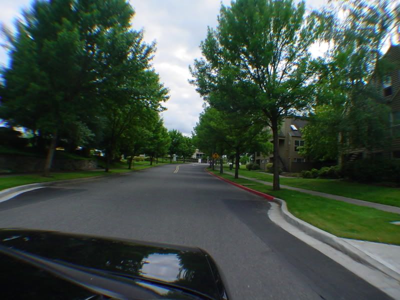 DSC00562.jpg