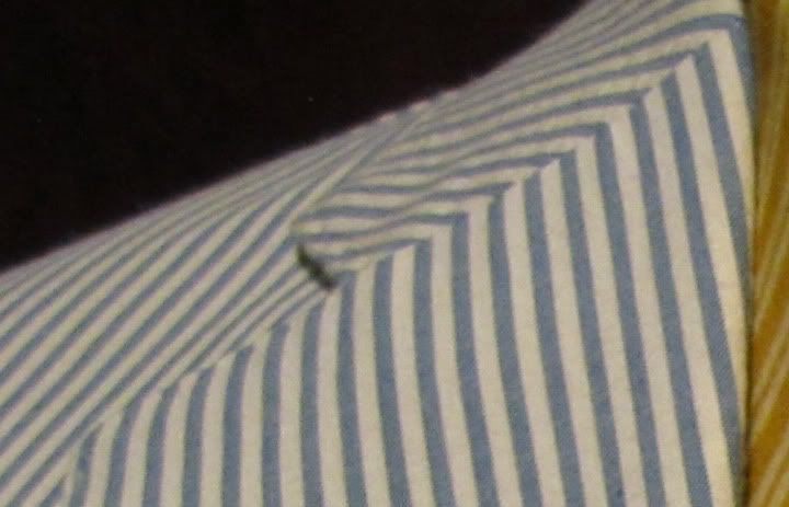 detailapel.jpg