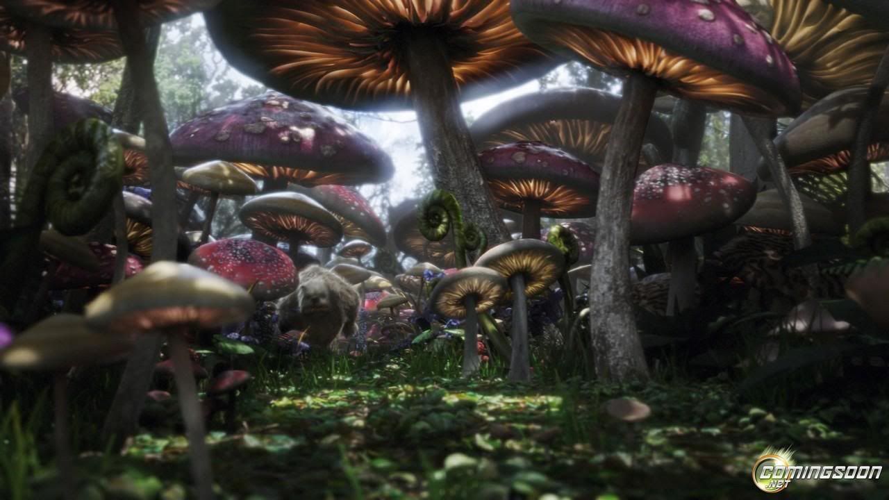 mushroomforest.jpg