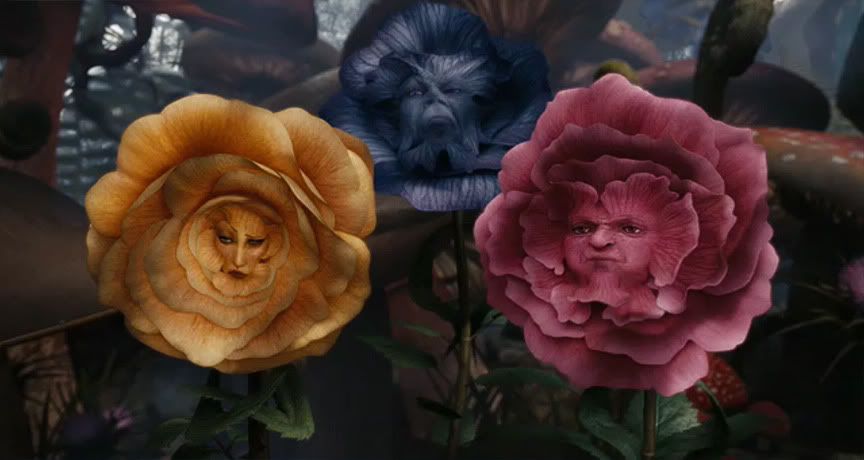 w2.jpg
