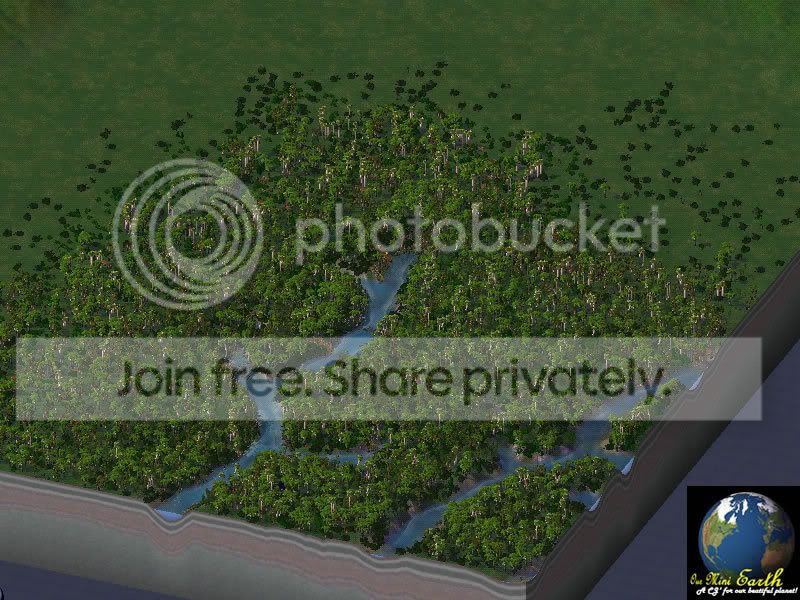 am1.jpg