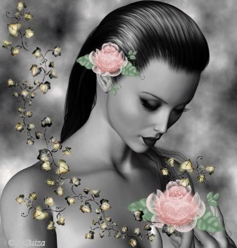 rose-2.jpg rose picture by darmarka2